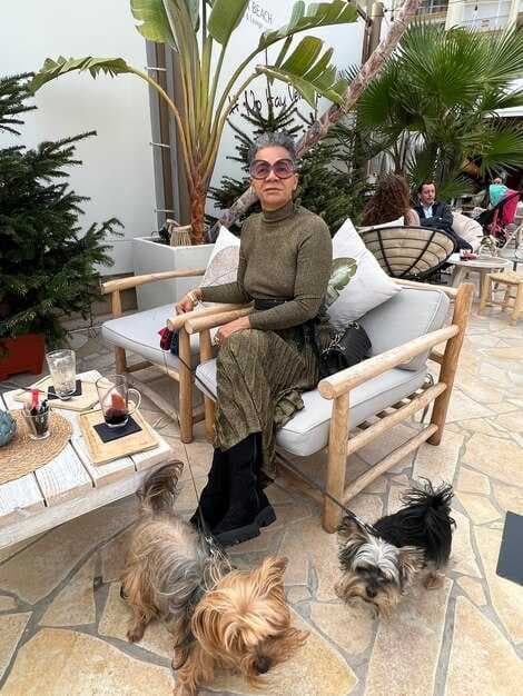 The Best Pet-Friendly Hotel Brands - Top Chains for Traveling with Pets