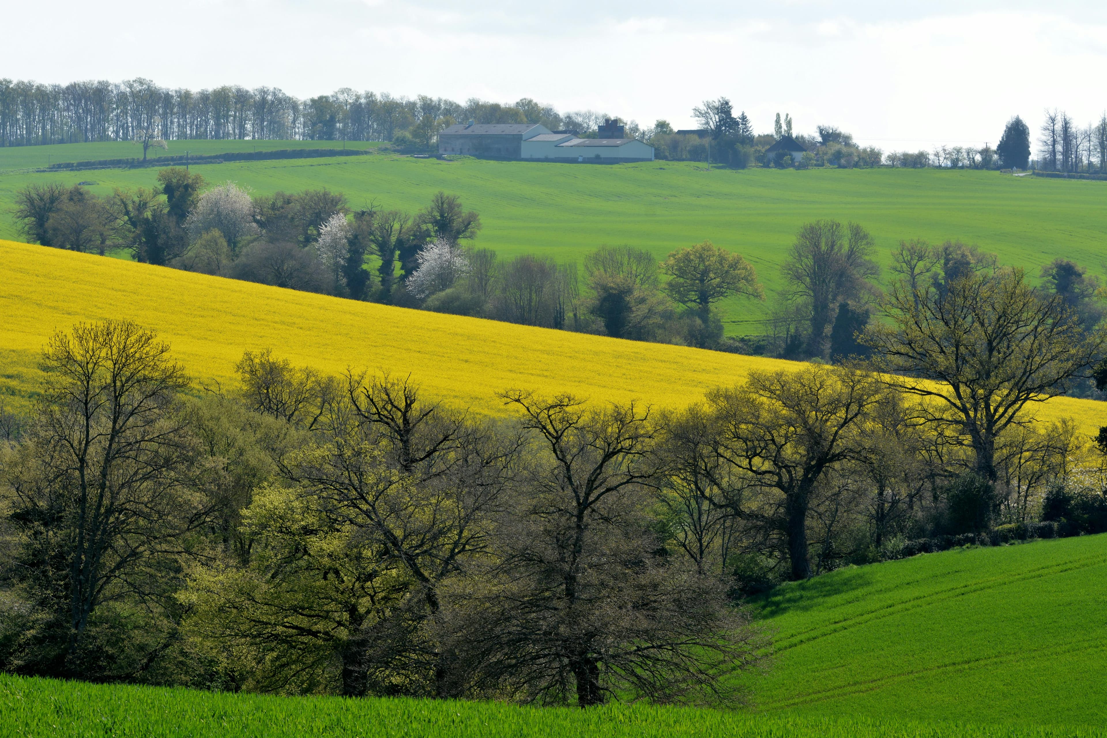 Climate in France: An Overview of Weather and Regional Variations