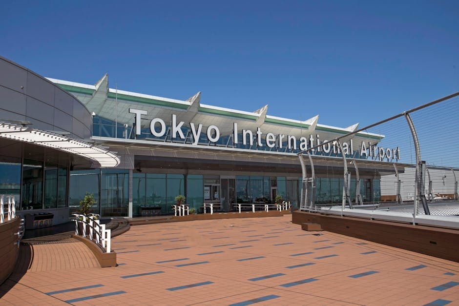 Narita to Tokyo Transfer: From €22/day with FREE Cancellation