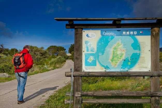 Wellington Travel Guide – Top Attractions, Food, and Local Tips