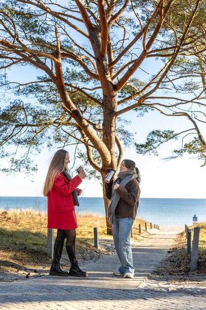 Seasonal Windows by Region: Best Times to Visit