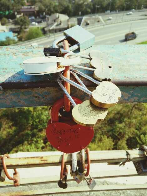 Regional Flavors: Must-try dishes by festival and tips to pace your meals