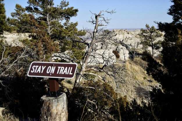 Assess travel footprint and apply practical strategies to cut waste