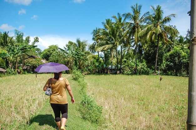 Seasonal sea conditions: snorkeling, surfing, and boat tours on Kauai and neighboring islands