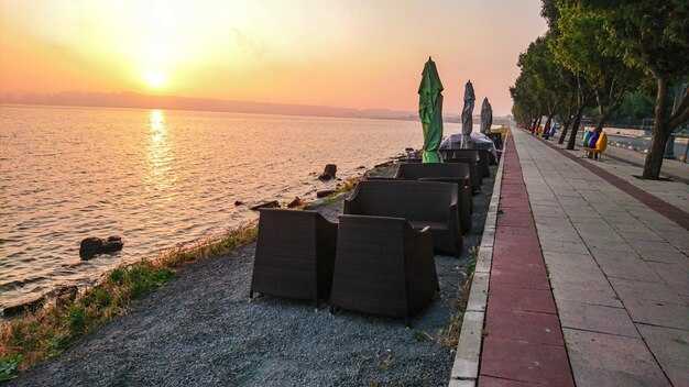 Sea Garden Highlights and Access Tips