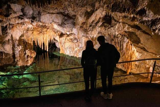 Booking and Check-in: Tickets, Timings, Accessibility, and Arrival Tips